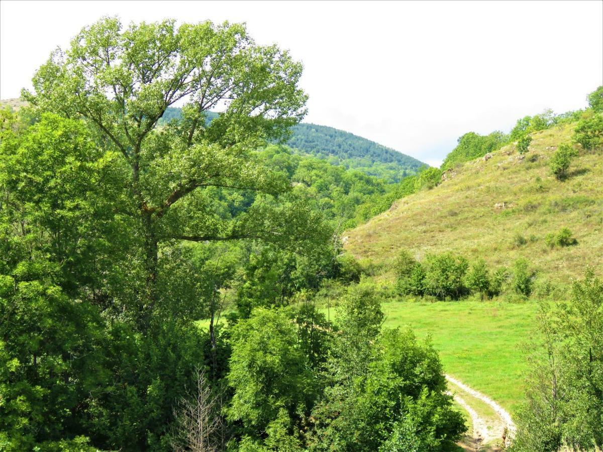Vaque Villeneuve Des Escaldes Angoustrine ภายนอก รูปภาพ